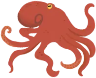 タコ