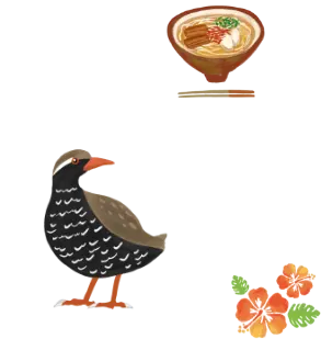 鳥とソーキそばとハイビスカス